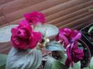 P041012_01.39_[01]