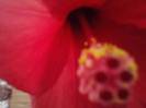 P081112_02.20_[04]