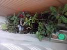 P071112_00.26_[02]