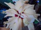 P301012_23.22_[01]