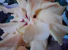 P301012_23.22_[04]