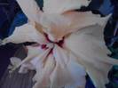 P311012_03.33_[01]