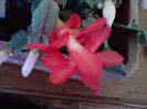 P311012_03.33_[03]