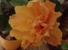 P301012_00.30_[01]