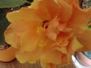 P301012_00.30_[02]