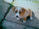 afara