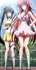 High School DxD - 07 - Large 05