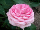 SANY0384