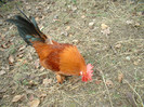 DSCF0026
