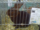 PICT0214