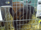 PICT0215