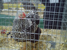 PICT0240