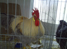 PICT0249