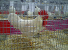 PICT0251