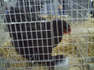 PICT0253