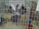 PICT0261