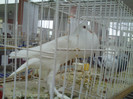 PICT0265