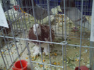 PICT0266