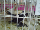 PICT0267
