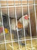 DSC01227