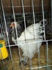 DSC01257