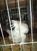 DSC01258