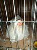 DSC01260