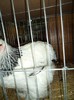 DSC01269