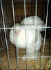 DSC01274