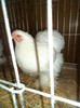 DSC01276