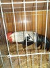DSC01281