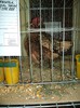 DSC01285
