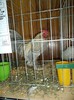 DSC01286