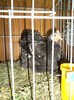 DSC01288