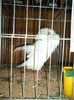 DSC01289