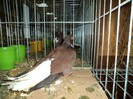 DSC01297