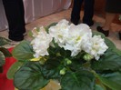 DSCF3688