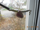 DSCN2435