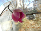 DSCN2450