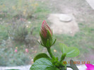 DSCN2438