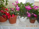 DSCN2418