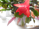 DSCN2422