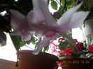DSCN2423