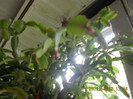 DSCN2425