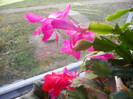 DSCN2446