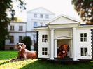 cool-dog-houses-by-best-fr-copy