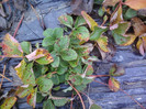 P01-12-12_11.13[1]