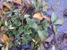 P01-12-12_11.13[2]