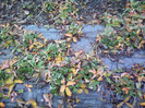 P01-12-12_11.13[3]