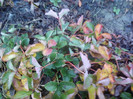 P01-12-12_11.40[2]